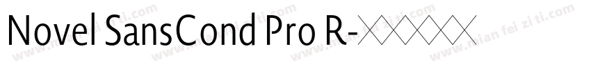 Novel SansCond Pro R字体转换